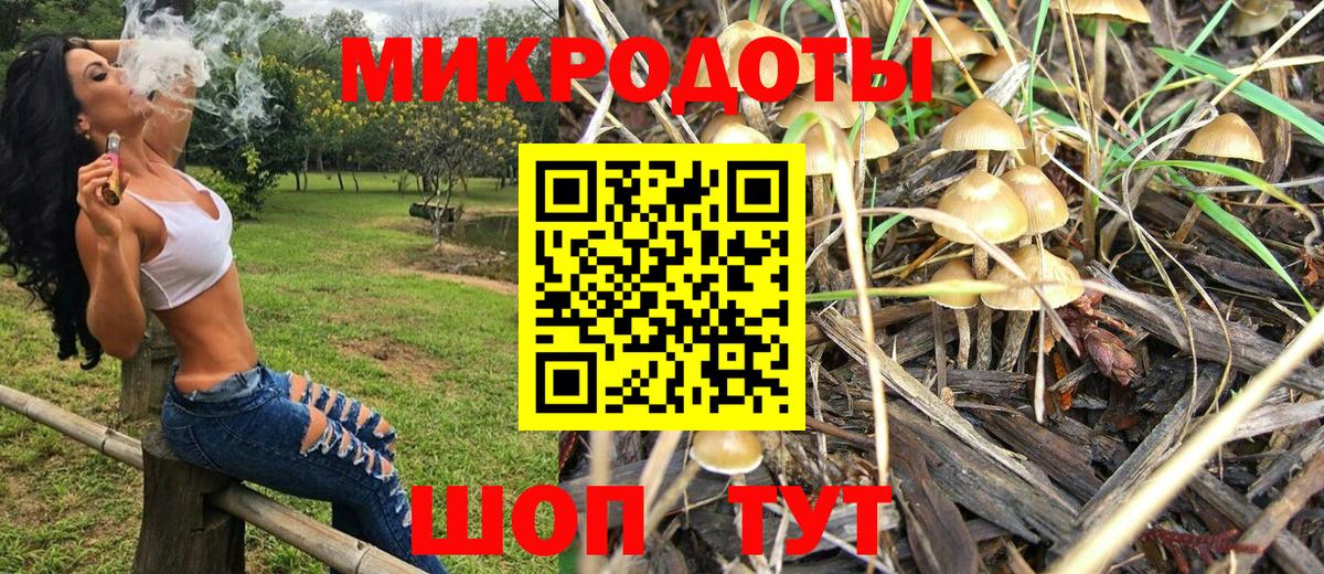 Псилоцибиновые грибы Magic Shrooms Ярославль